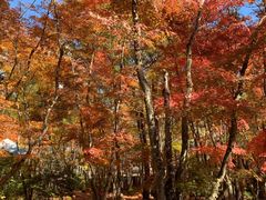 -轻井泽高原教堂