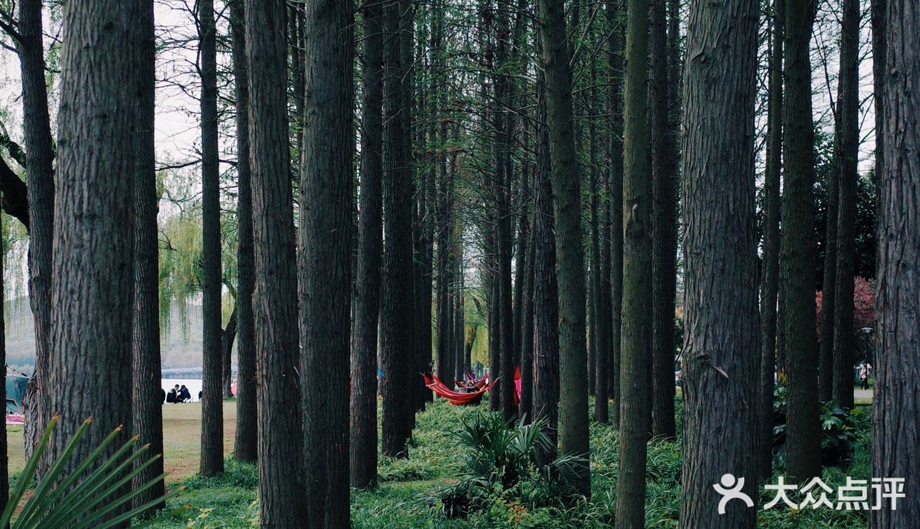 春风又绿江南岸，来蠡湖边走走吧！