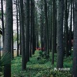 春风又绿江南岸，来蠡湖边走走吧！