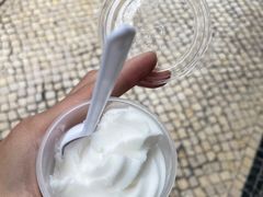 -洪馨椰子