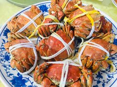 阳澄湖大闸蟹母-蟹宝酒楼•农家菜(古城北路店)
