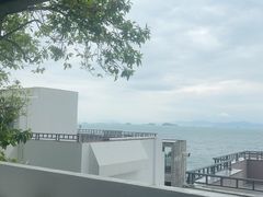 -杨梅坑