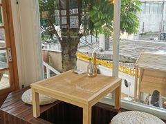 -椿风·养身茶饮(吉大店)