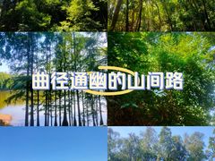 -三水森林公园