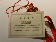 -阿五黄河大鲤鱼(英协路店)