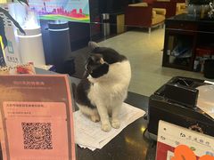 -铸信羽毛球俱乐部