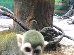 -华夏文旅西安度假区