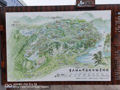 -铁山坪森林公园