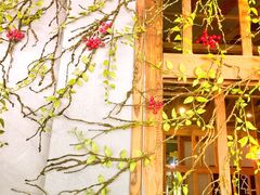 -臻味私厨(国际社区店)