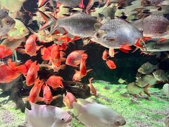 -太平洋海底世界