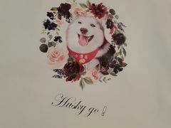 -Husky Go! 哈士奇体验馆·宠物咖啡厅狗咖