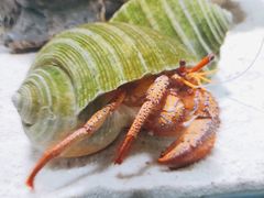 -太平洋海底世界