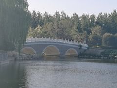 -大兴滨河森林公园