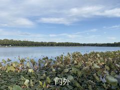 -素心小筑(后沙裕镇店)