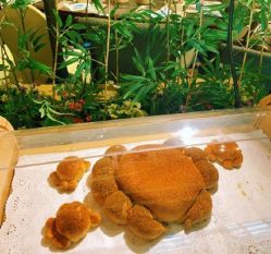 -上海大酒店·婚宴年会宴会厅