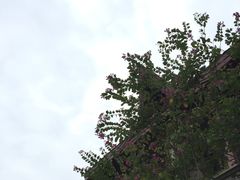 -广州都喜泰丽温泉度假酒店