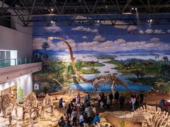 -自贡恐龙博物馆