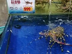 -东江海鲜酒家(艺都分店)