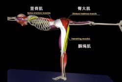 -U+YOGA优伽瑜伽·普拉提