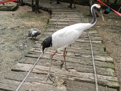 -哈尔滨北方森林动物园