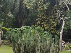 -中国科学院西双版纳热带植物园