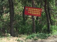 -昆嵛山石门里景区