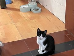 -艾贝尔宠物医院 ·内科全科(梁溪路店)