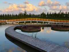 -春花秋色城市公园