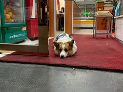 -老四川平头酸菜鱼(衙前店)