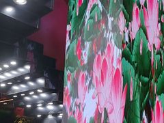 -唐河王记·南阳民间菜(国基路店)