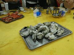 特大蒸生蚝-蚝专家(北滘店)