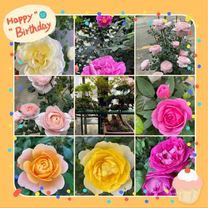 金科花卉市场-"从城里过去,那条路在修,灰很大,两边都是.