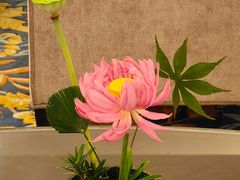 -福建鲤鱼洲酒店