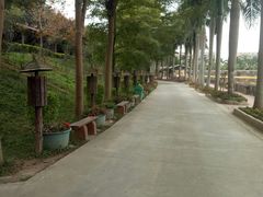 -揭东万竹园旅游景区