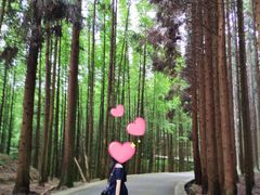 -山王坪喀斯特国家生态公园
