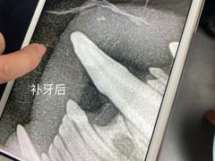 -申普宠物医院·心脏介入·心血管微创(总院)