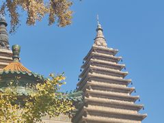 -北京石刻艺术博物馆(五塔寺)