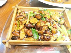 -那家老院子东北菜·饺子·小鸡炖蘑菇(艳华街店)