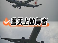 -空港花田景区