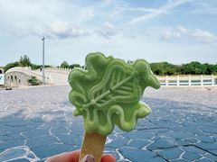 -蓬莱阁景区