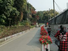 -十九路军淞沪抗日阵亡将士陵园