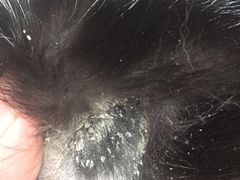 -瑞派宠物医院·24小时骨科·心脏·核磁(哈尔滨南岗店)