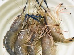 活生虾-蘭桂坊海鲜烧烤抖音网红餐厅