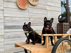 -上海崇明金茂凯悦酒店