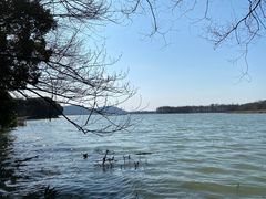 -东湖落雁景区