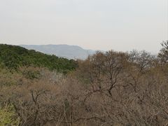 -香山公园