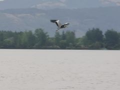 -西昌邛海湿地