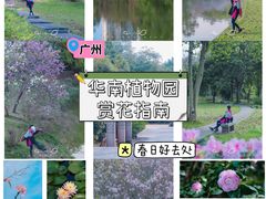 -中国科学院华南植物园