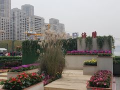 -重庆市江北嘴中央商务区中央公园