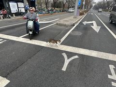 -簋街